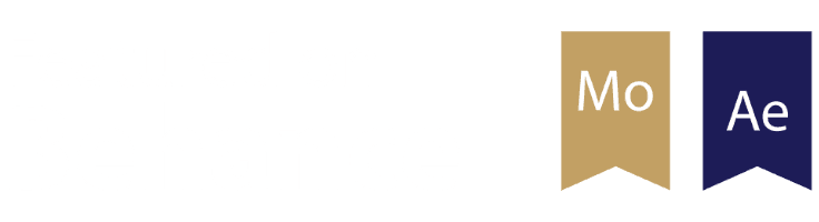 Explainer Videos LLC